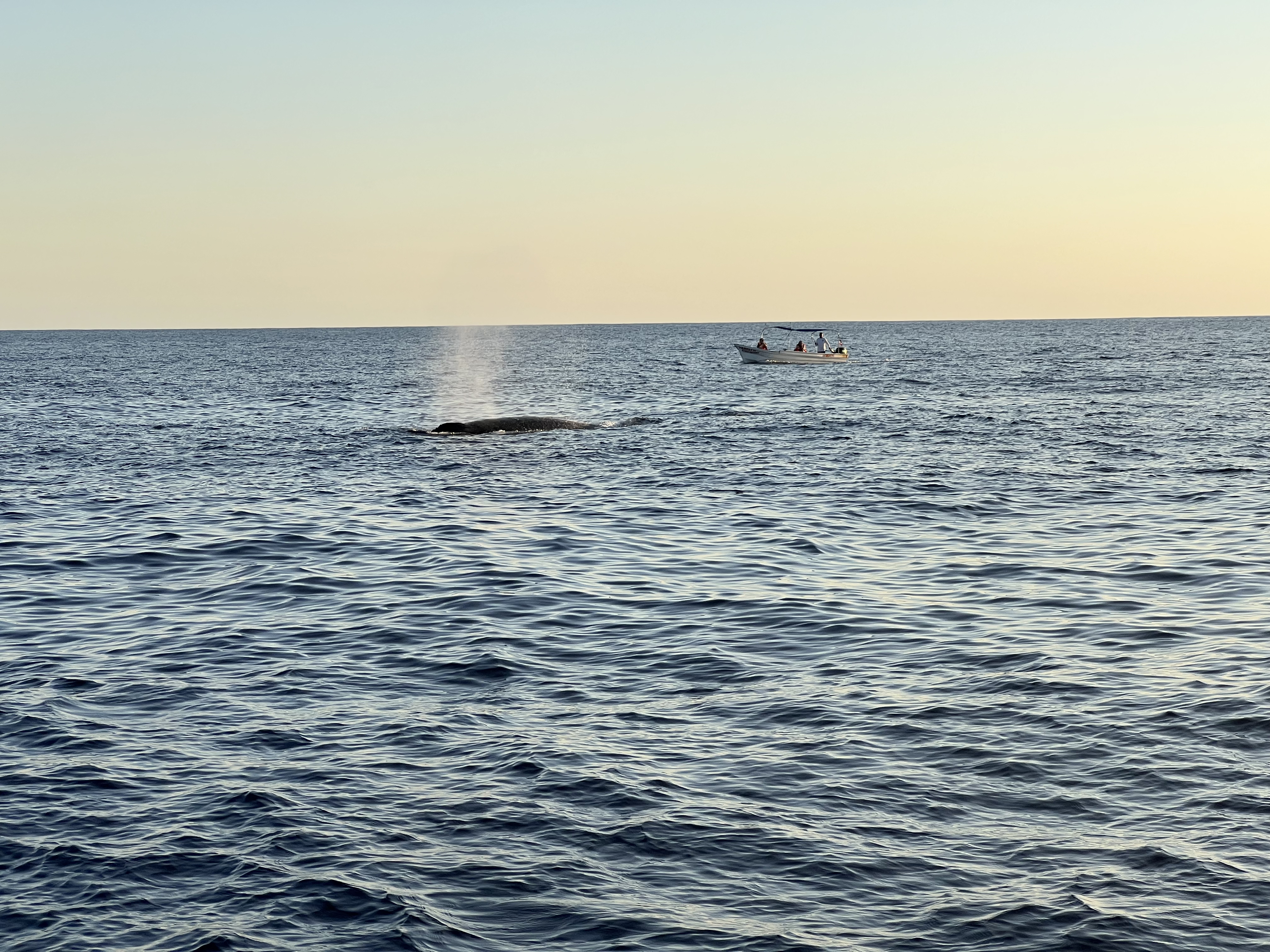 ./2024/13 - Cabo/IMG_4739.jpg